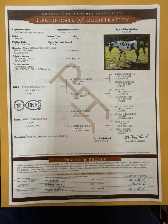 Image for Lumberton Horse and Tack Auction, September 2025
