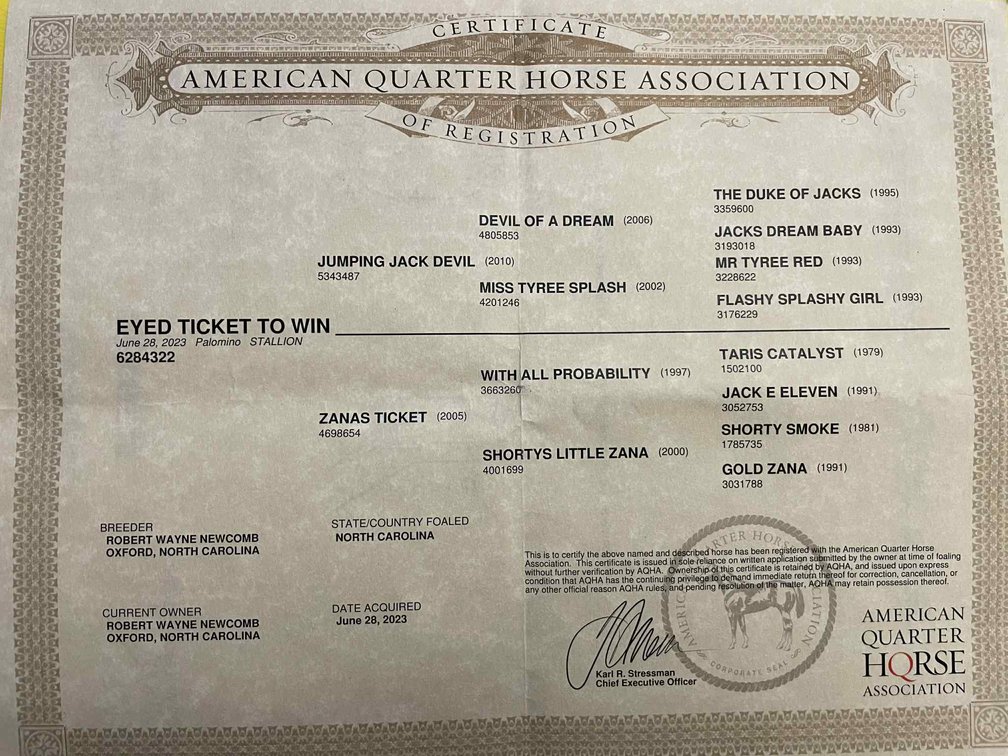 Image for Lumberton Horse and Tack Auction, September 2025