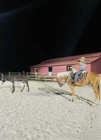 Image for Lumberton Horse and Tack Auction, September 2025
