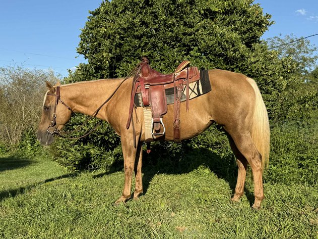 Image for 606 Fall Riding Sale