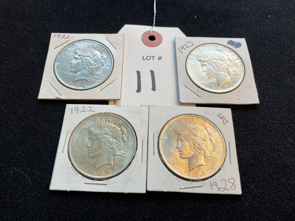 Lot 11
