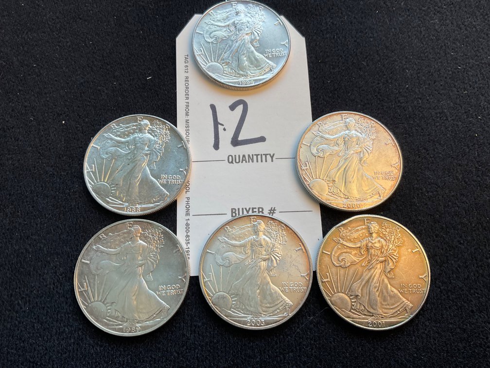 Lot 12