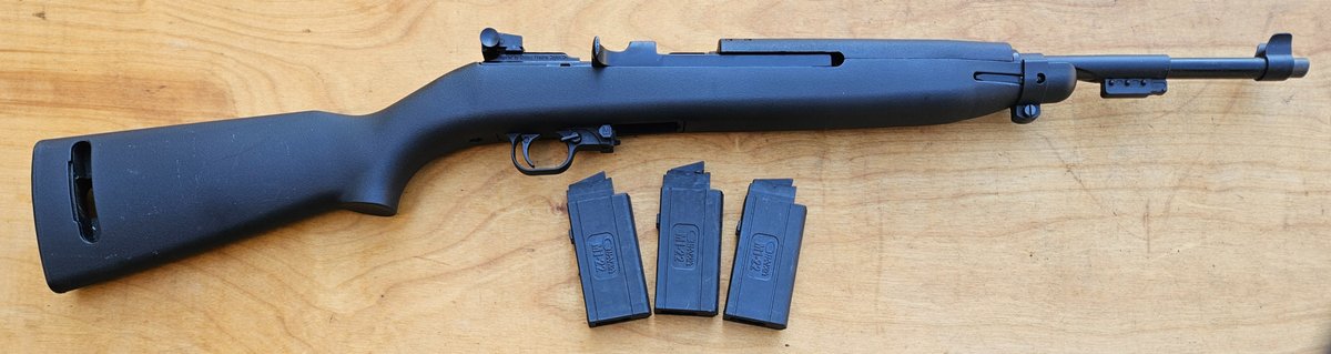 Chiappa Citadel M1-22 Rifle
