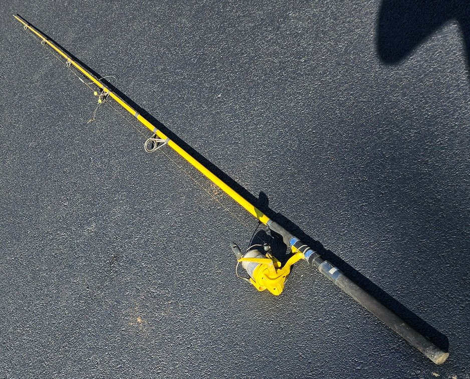 Fin Chaser 10ft Deep Sea Rod