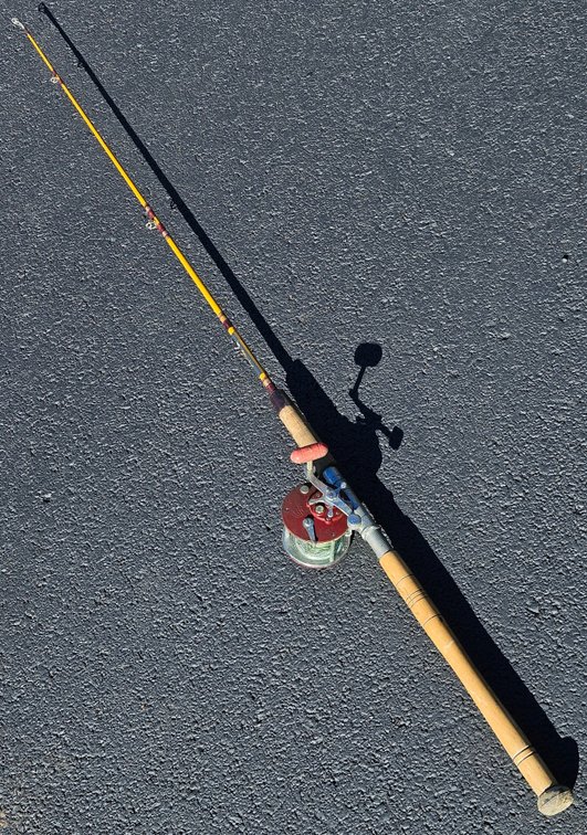 Olympic Ultrafast Fishing Rod