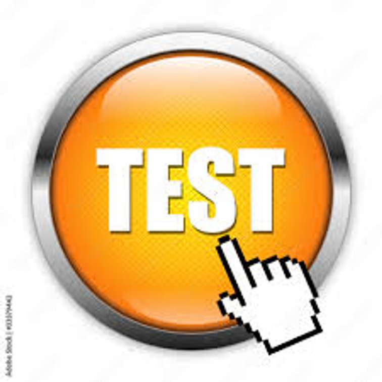 Test Bid