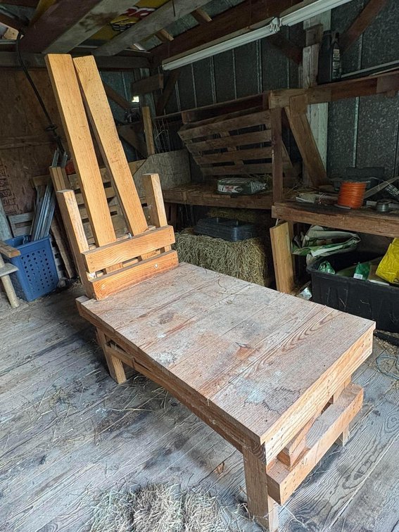 Milking Stand with Ramp and Stanchion