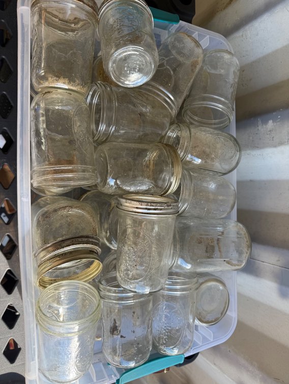 Canning Jars