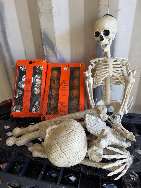Plastic Skeleton, Bones Set, and Boxed LED Musical Lights