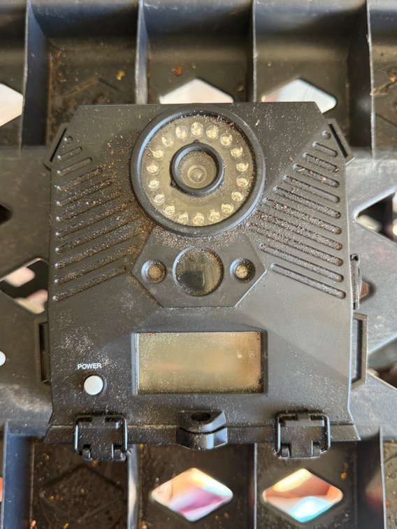 Trail Camera with Infrared LED Array
