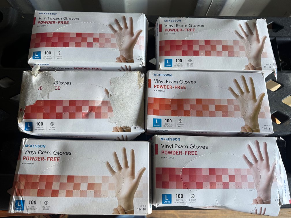 Vinyl Gloves, Size Large