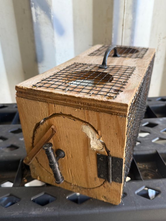 Animal Transport Box