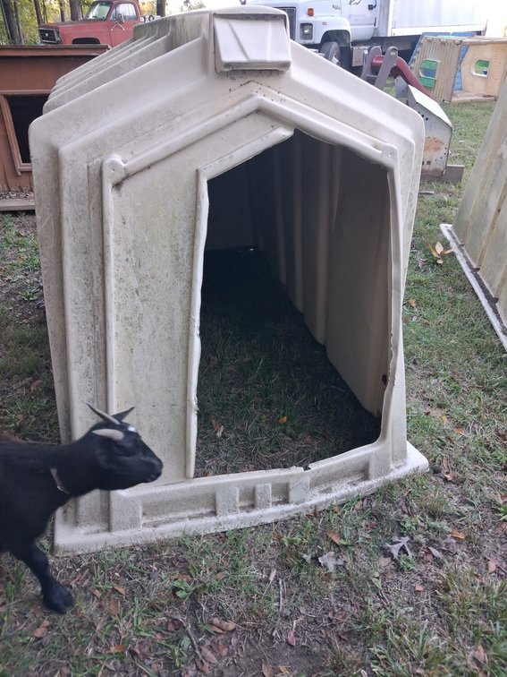 Calf Hutch Livestock Shelter