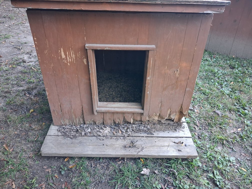 Wood Doghouse on Plank Base