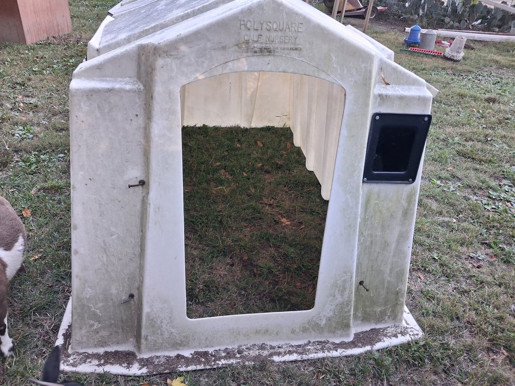 Calf Hutch