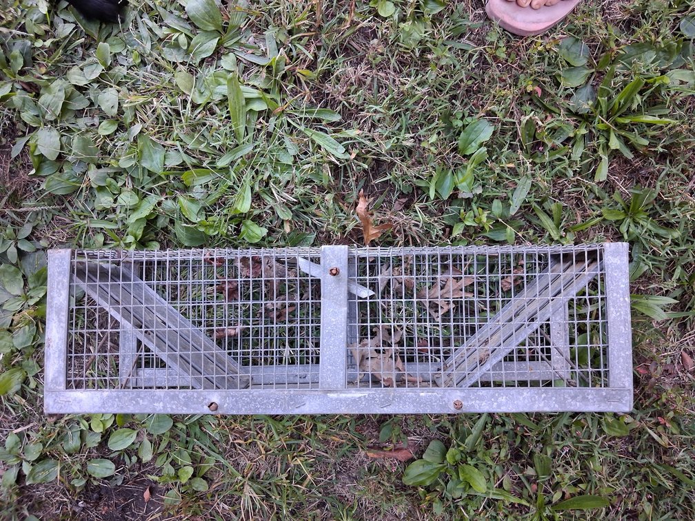 Live Animal Cage Traps