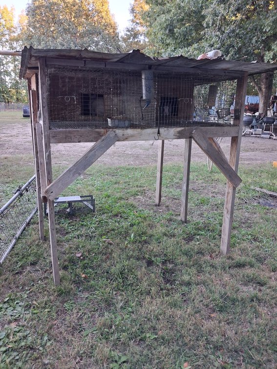 Rabbit Hutch