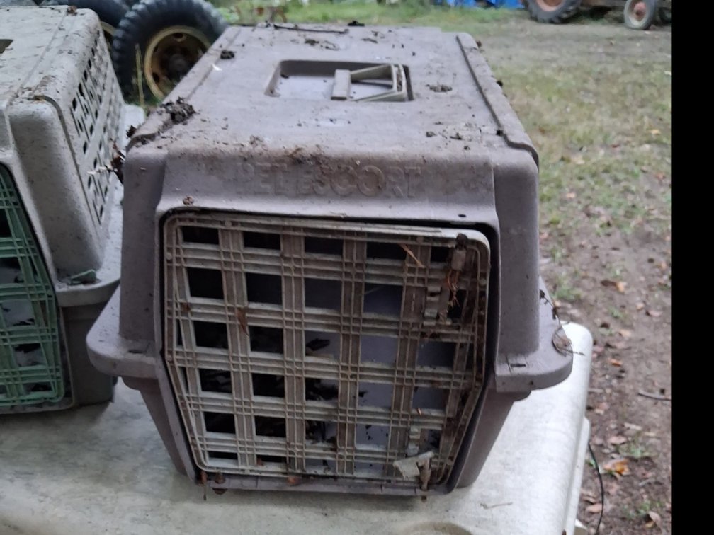 Pet Carrier