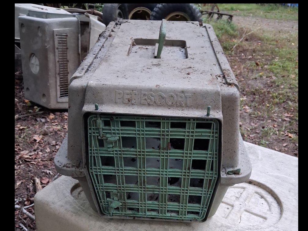 Pet Carrier