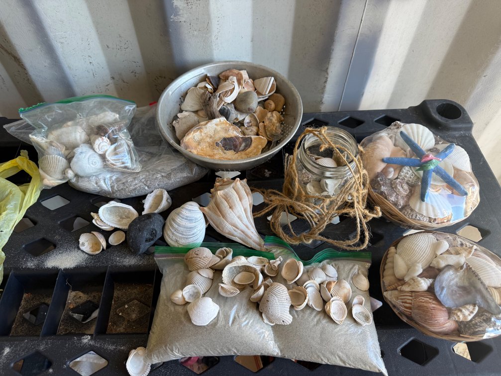 Seashells, Beach Stones, and Sand with Colander and Jar