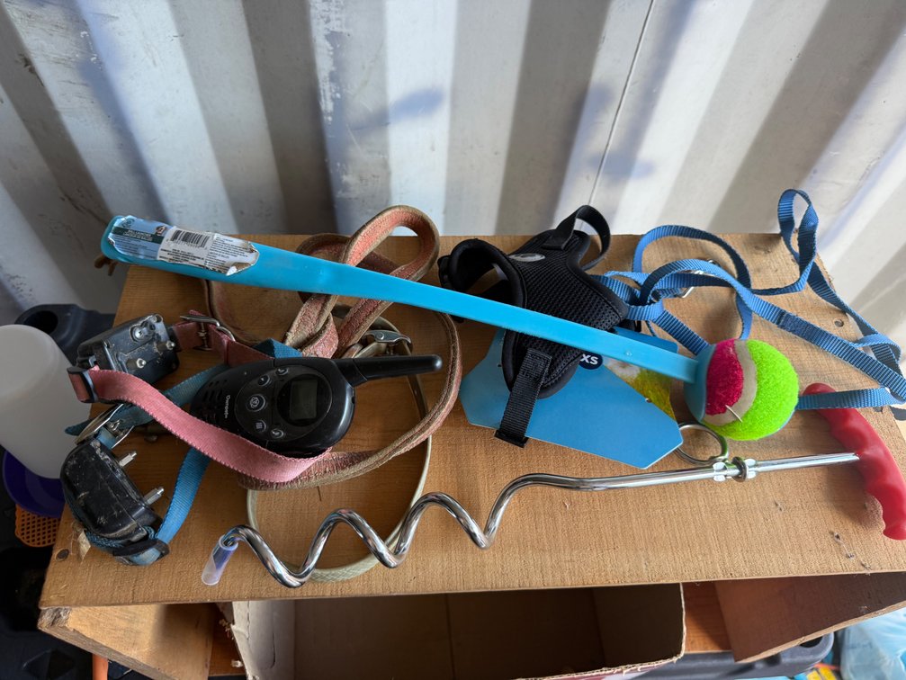 Dog Training Collars, Ball Launcher, Tie-Out Stake, and More