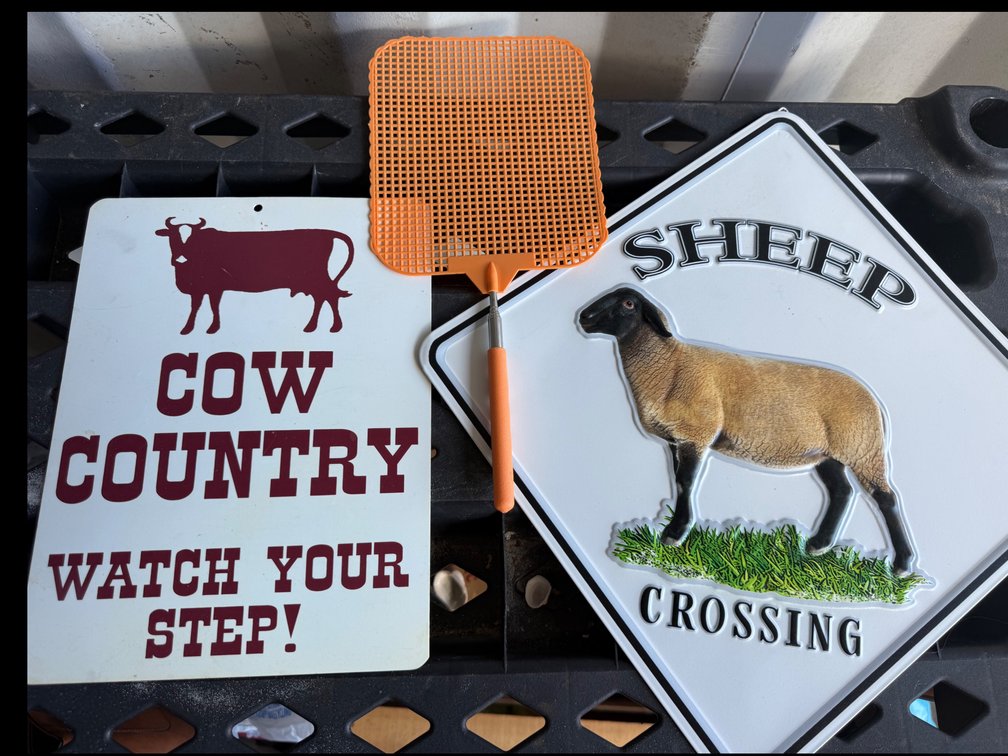 Novelty Signs and Telescoping Fly Swatter