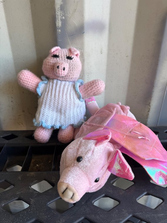 Crocheted Pig Doll and Plush Winged Pig hat
