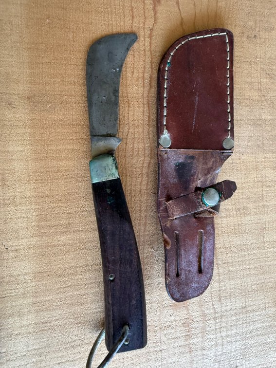 Schrade Walden 136 Folding Skinning Knife with Sheath