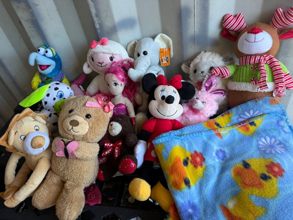 Plush Stuffed Animals and Fleece Blanket