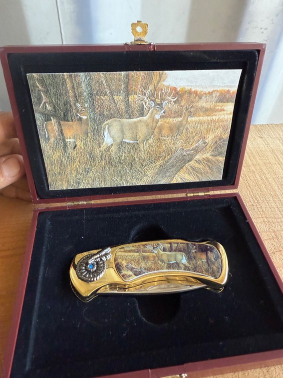 Whitetail Deer Folding Pocket Knife in Wood Display Box