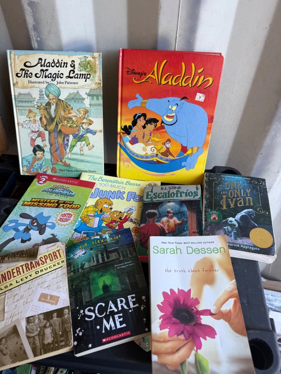 Children's and Young Adult Hardcover and Paperback Books