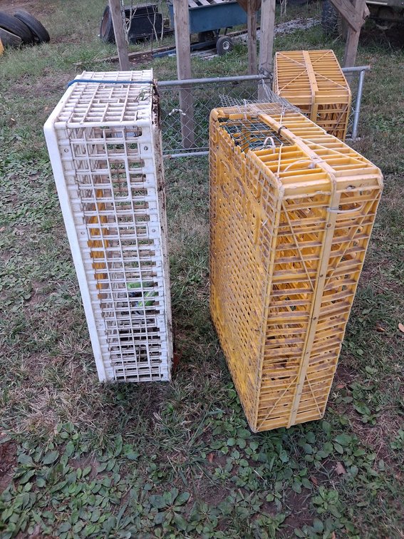 Chicken Crates
