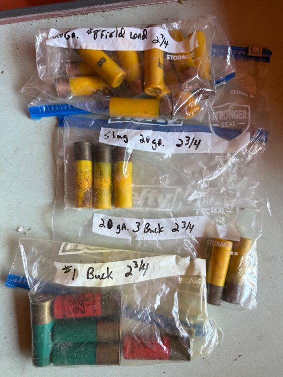 20 Gauge Plastic Shotgun Shells and More