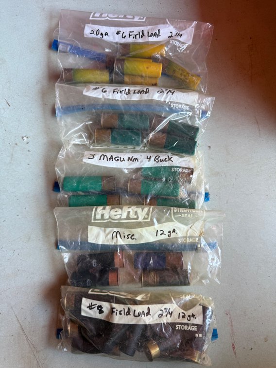 12-Gauge and 20-Gauge Shotgun Shells