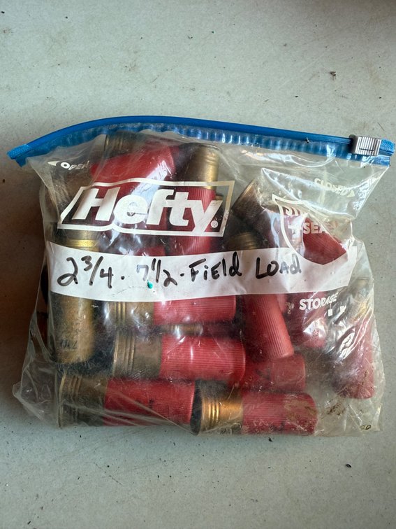 Shotgun Shells