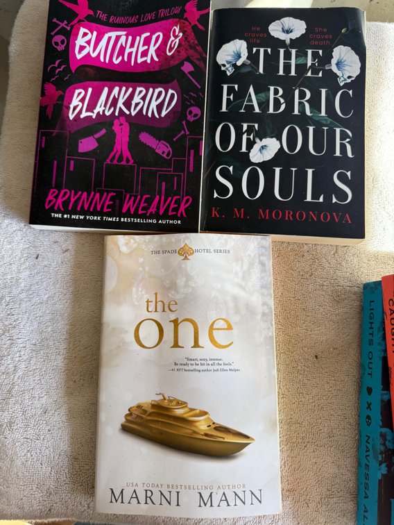 Paperback Novels Including Butcher & Blackbird and The One