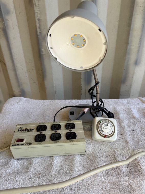 Gooseneck Desk Lamp, Surge Suppressor, and Plug-In Timer