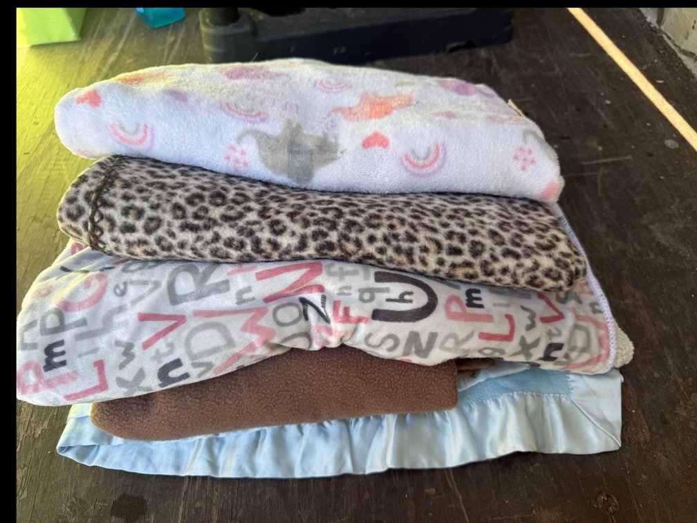 Plush and Fleece Blankets