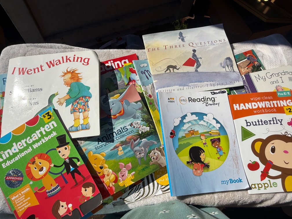 Children's Storybooks, Readers, and Educational Workbooks