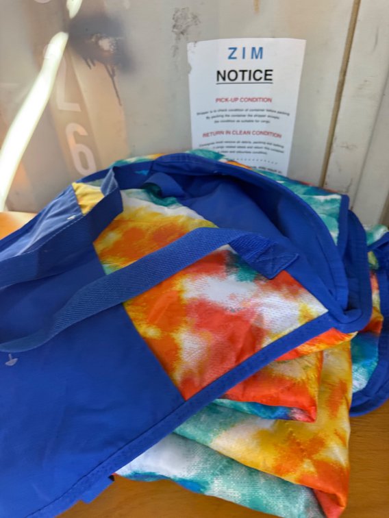 Picnic Blanket Tote