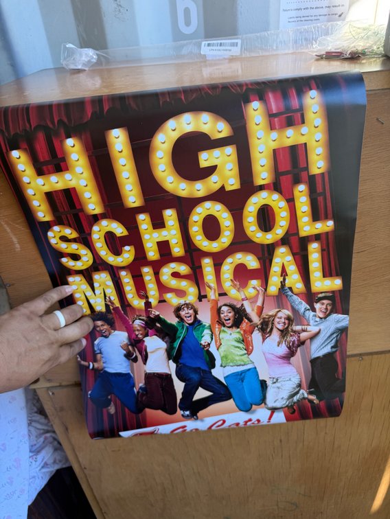 High School Musical Cast Members Glossy Poster