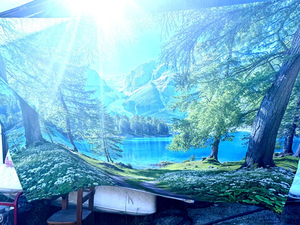 Fabric Backdrop Tapestry