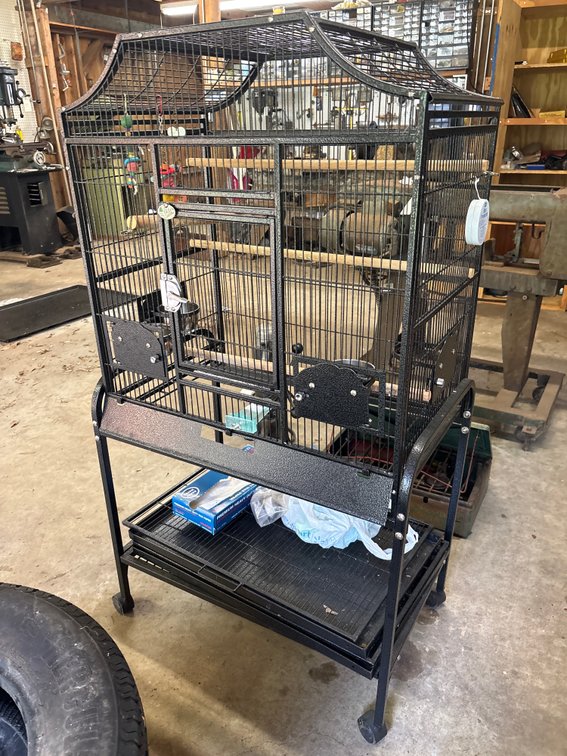 Bird Cage