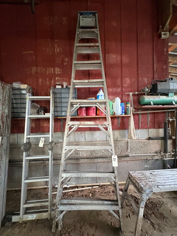 12 Ft Aluminum Ladder