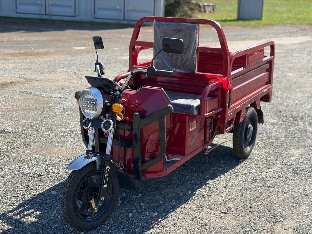 IRET 13 Electric Tricycle