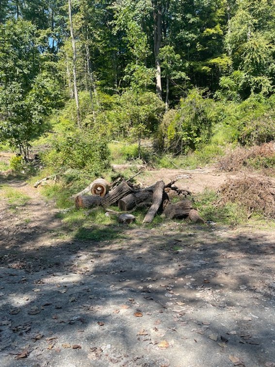 Image for Project Home: 567 Sandy Valley Rd., Falls PA