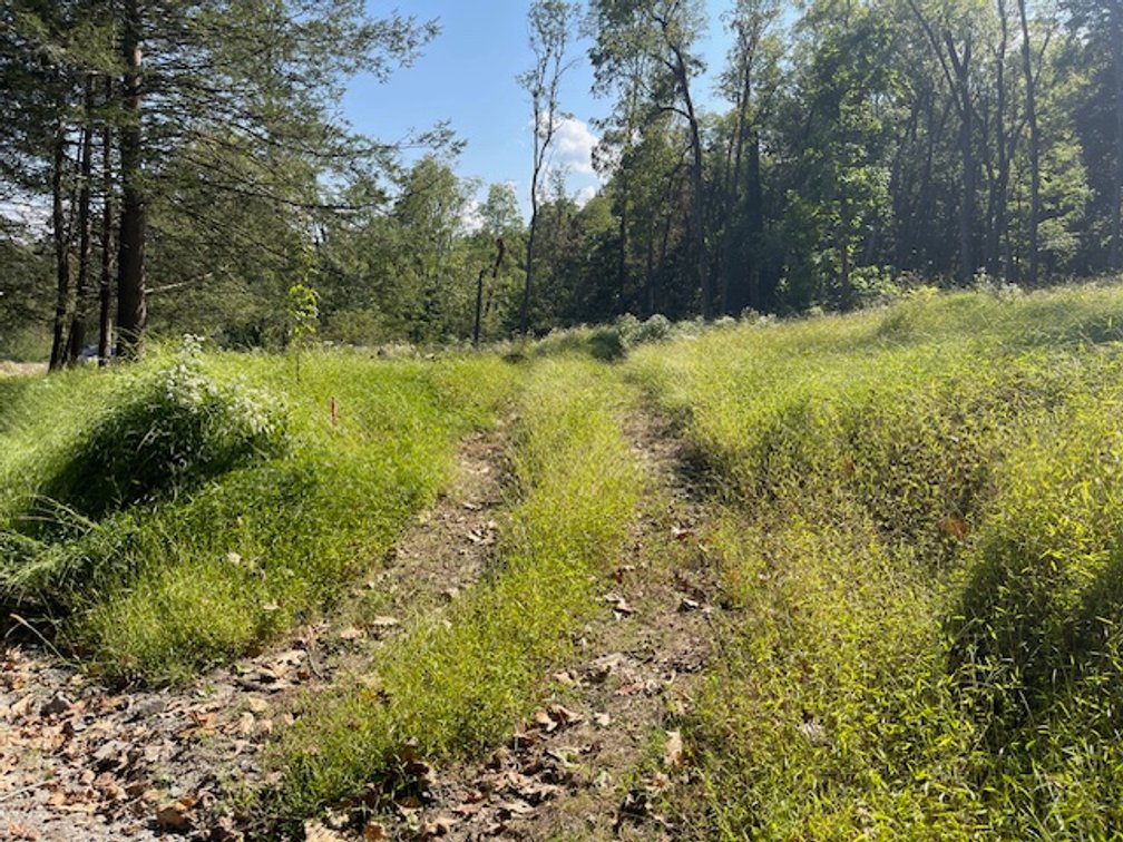 Image for 9 Mountain Rd., Tunkhannock PA