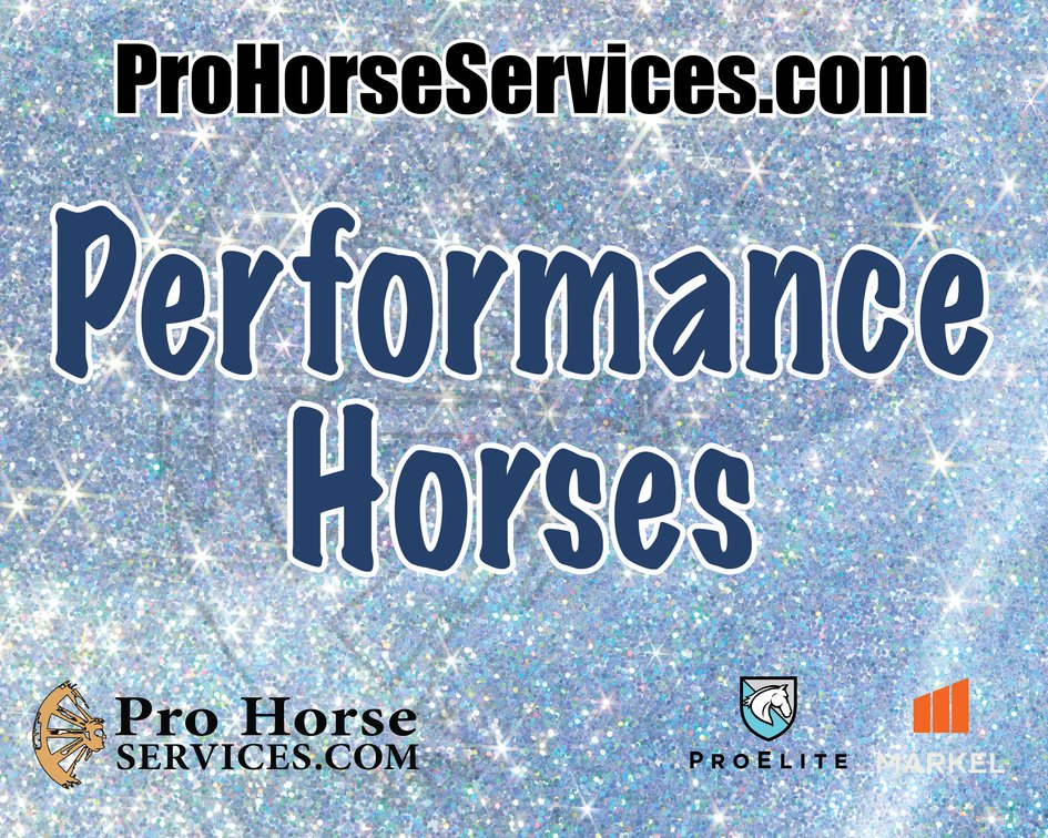 Performance Session