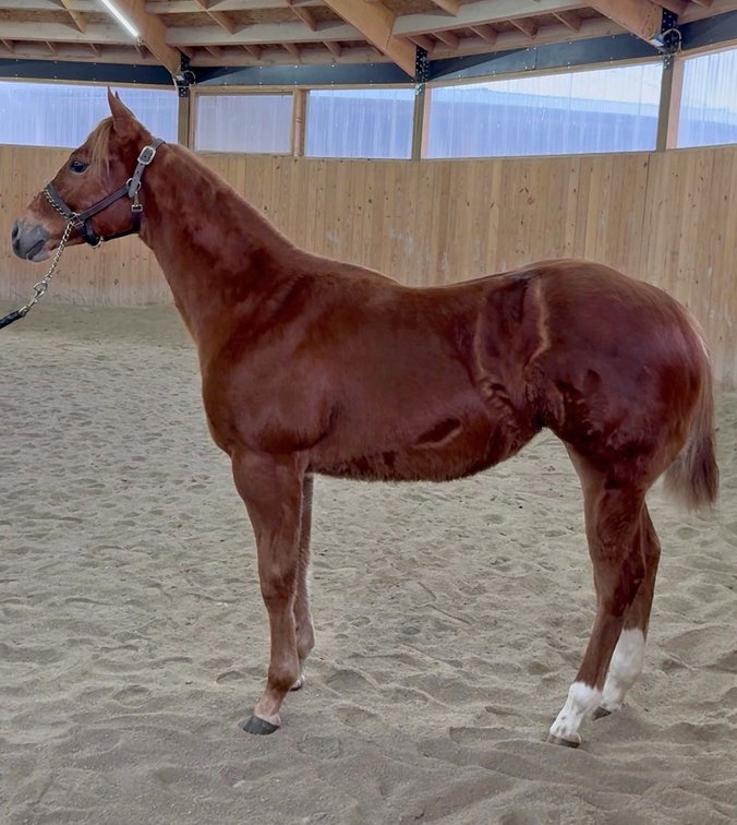 EQH Covergirl