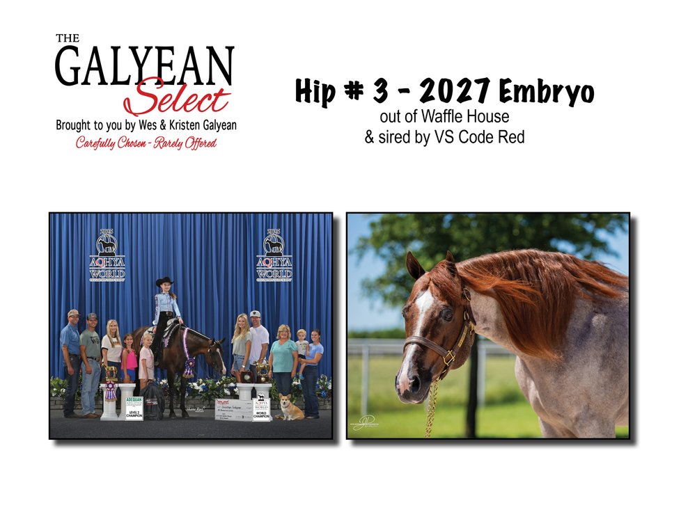 2027 Embryo (VS Code Red x Waffle House)